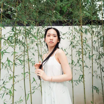 进步玩家